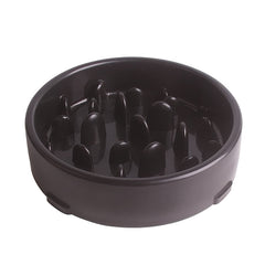 Slow Feed Pet Bowl with Anti-Choke Design and Mat
