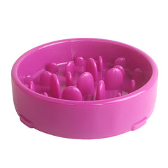 Slow Feed Pet Bowl with Anti-Choke Design and Mat