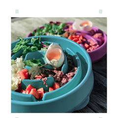 Slow Feeding Bowl Anti-choke Anti-picky Pet Cat And Dog Self-Hi Licking Plate Portable Food Grade Bowl